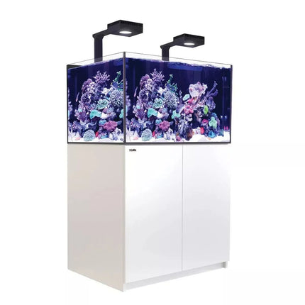 Reefer MAX 300 G2+ System (65 Gal)