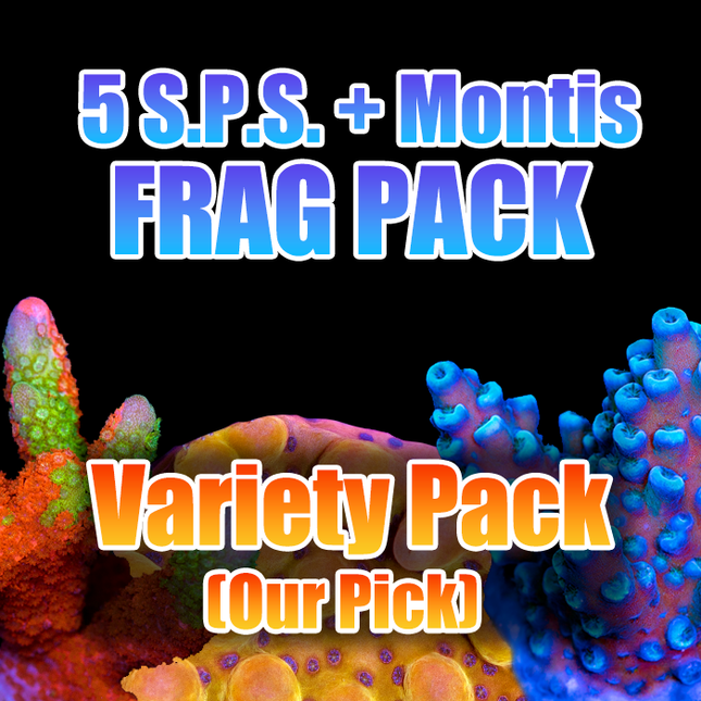 ASD 10 Acro And Monti Pack