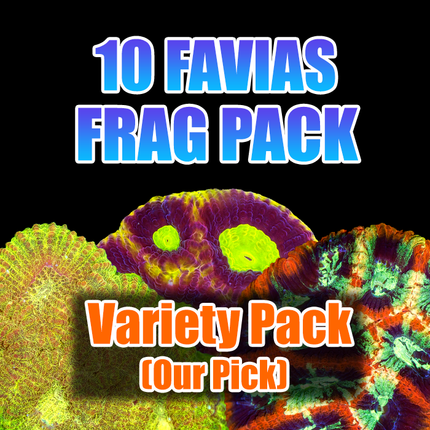 ASD 10 Favia Pack