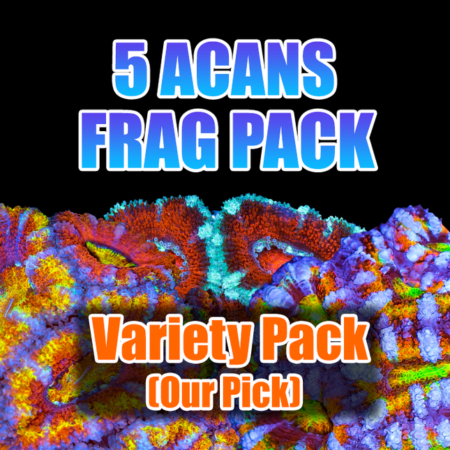 ASD 5 Acan Pack