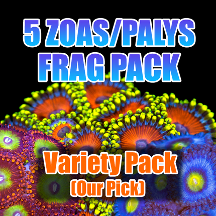 ASD 5 Zoas and Palys Pack