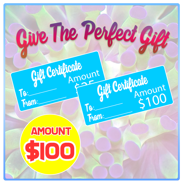 Aqua SD Gift Certificate ($100)