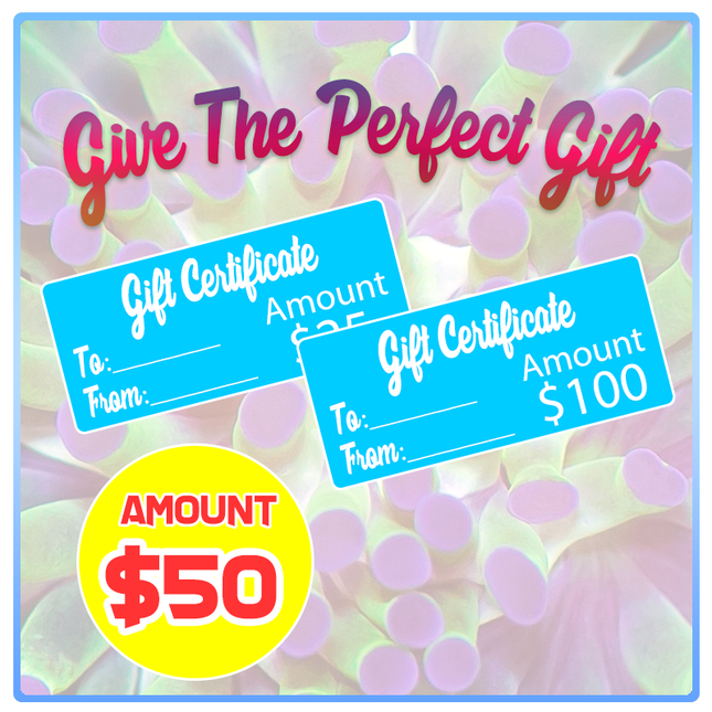 Aqua SD Gift Certificate ($50)
