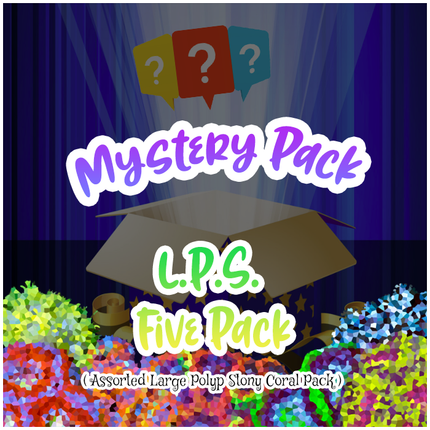 Mystery LPS Five Pack