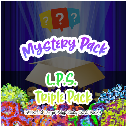 Mystery LPS Triple Pack