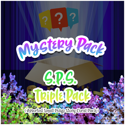 Mystery SPS Triple Pack