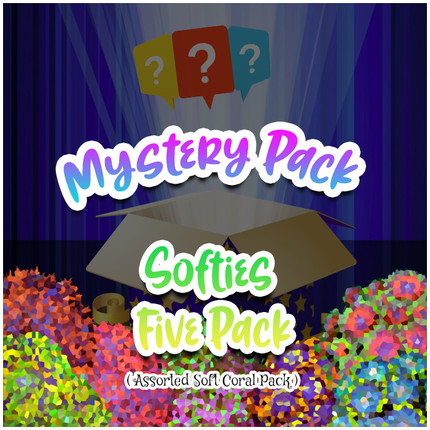 Mystery Softies Five Pack