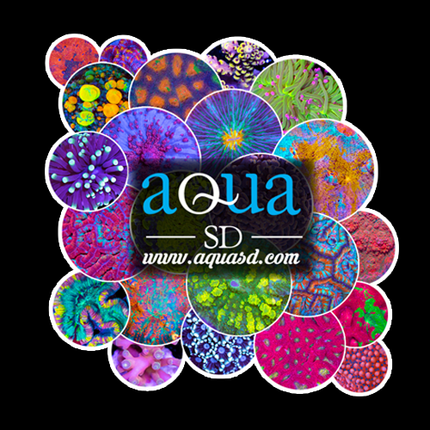 AquaSD Sticker 3