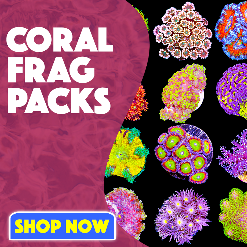 Aqua SD Coral Frag Packs