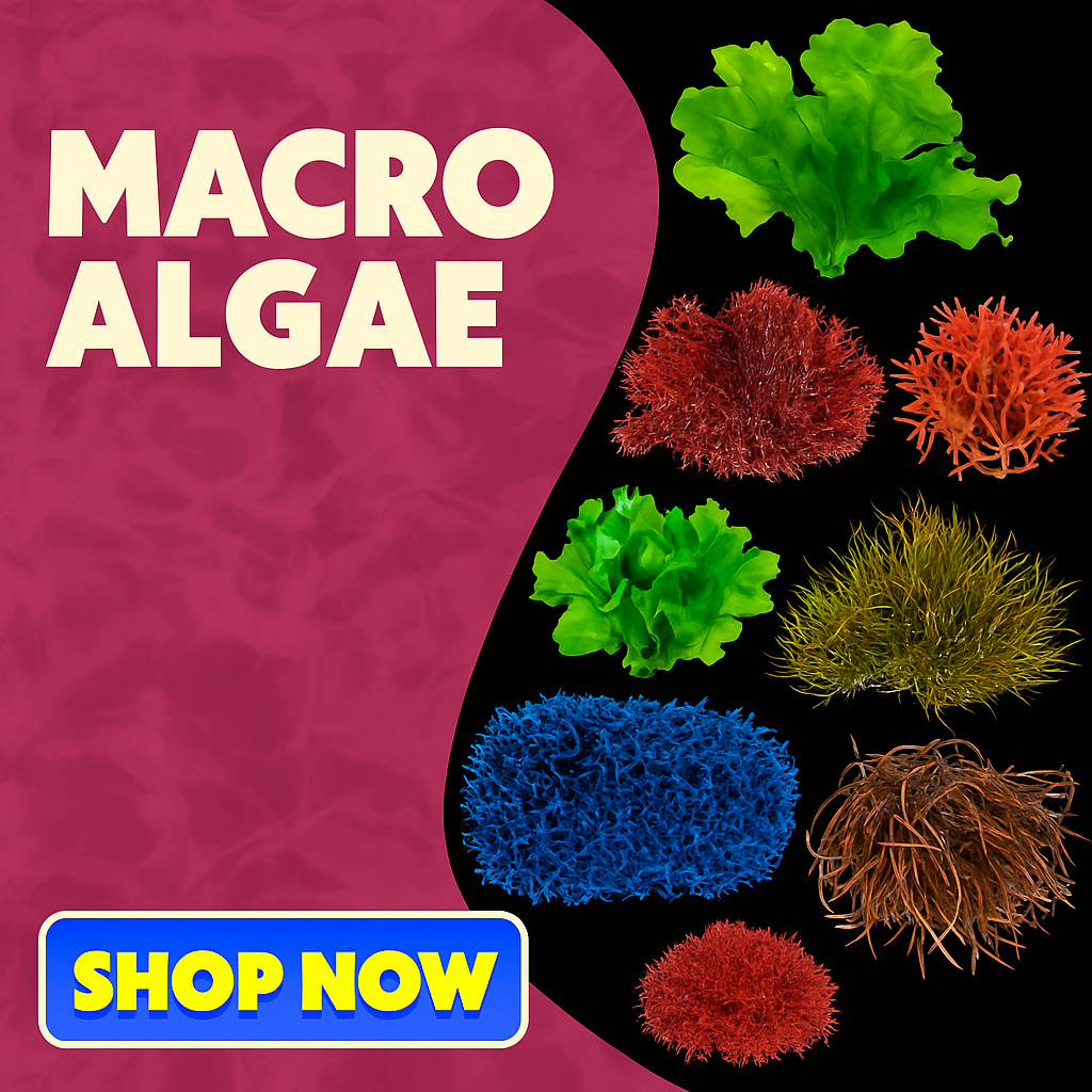 Aqua SD Macro Algae